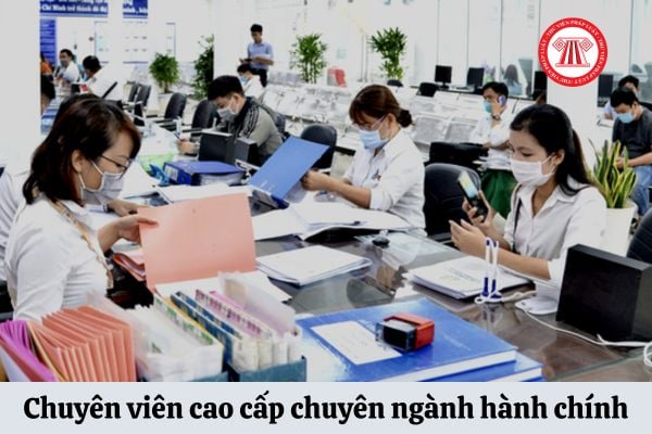 Chuyên viên cao cấp chuyên ngành hành chính có hệ số lương bao nhiêu?