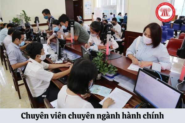 Yêu cầu Chuyên viên chuyên ngành hành chính phải có chứng chỉ gì?