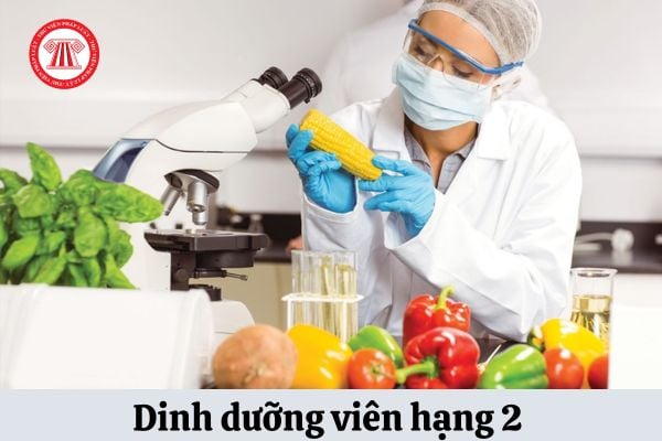 Hệ số lương của Dinh dưỡng hạng 2 là bao nhiêu?