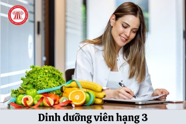 Viên chức dinh dưỡng hạng 3 phải đáp ứng tiêu chuẩn gì về năng lực chuyên môn nghiệp vụ?