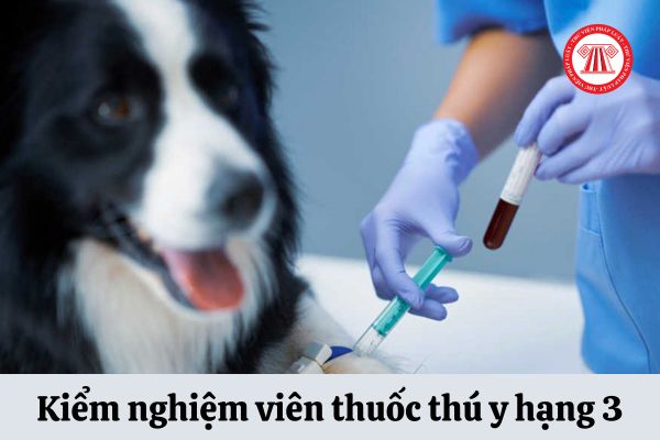 Kiểm nghiệm viên thuốc thú y hạng 3 có hệ số lương bao nhiêu?