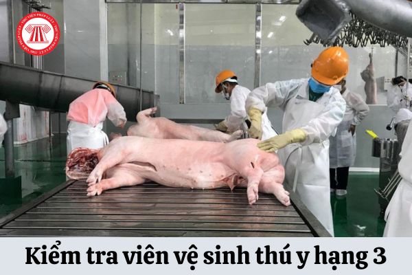 Kiểm tra viên vệ sinh thú y hạng 3 có hệ số lương bao nhiêu?