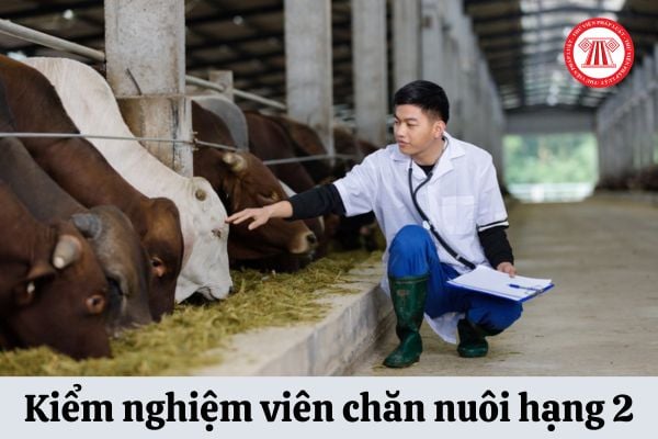 Viên chức thi thăng hạng lên Kiểm nghiệm viên chăn nuôi hạng 2 cần đáp ứng yêu cầu gì?