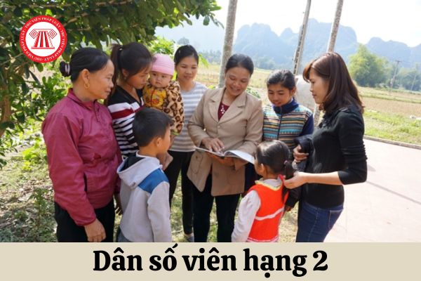 Tốt nghiệp đại học nhóm ngành gì thì được làm Dân số viên hạng 2?