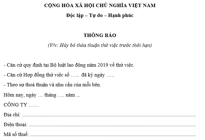 Mẫu 01