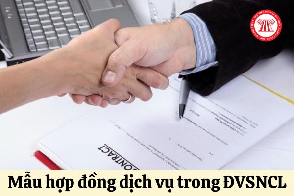 Mẫu hợp đồng dịch vụ trong đơn vị sự nghiệp công lập mới nhất năm 2024 là mẫu nào?