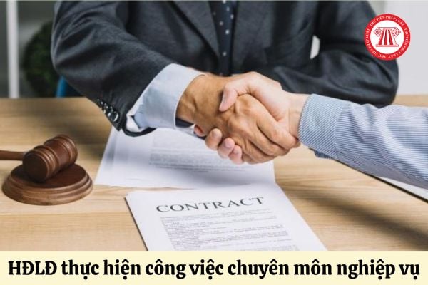 Cá nhân ký hợp đồng lao động thực hiện công việc chuyên môn nghiệp vụ phải đáp ứng những tiêu chuẩn nào?