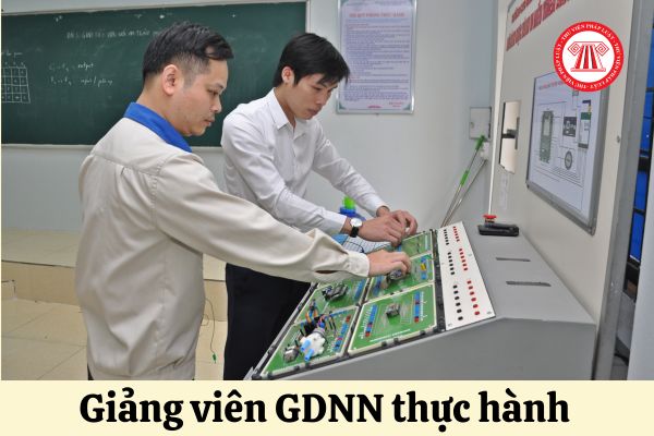 Giảng viên giáo dục nghề nghiệp thực hành có phải hướng dẫn người học làm chuyên đề, khóa luận tốt nghiệp hay không?