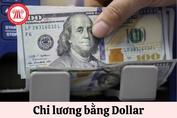 Lao động là người Việt Nam có được nhận lương bằng tiền dollar hay không?