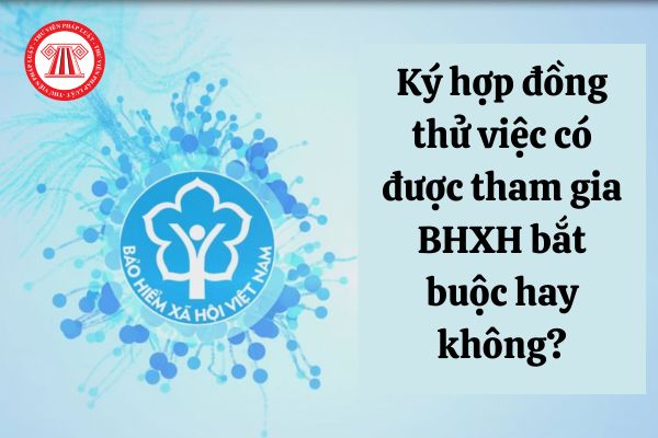 Ký hợp đồng thử việc có được tham gia bảo hiểm xã hội bắt buộc hay không?