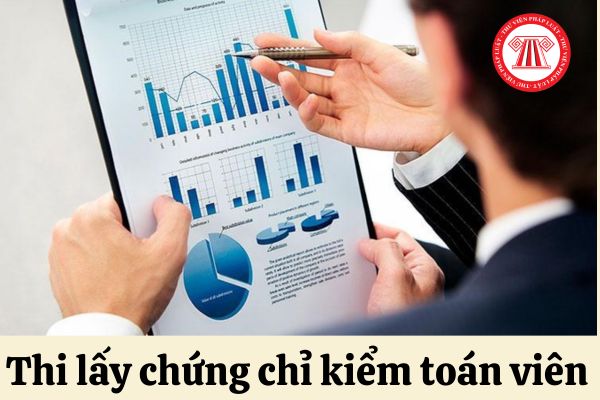 thi lấy chứng chỉ kiểm toán viên