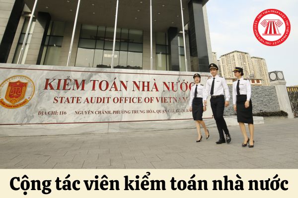 Kiểm toán nhà nước được sử dụng cộng tác viên để thực hiện các công việc nào?