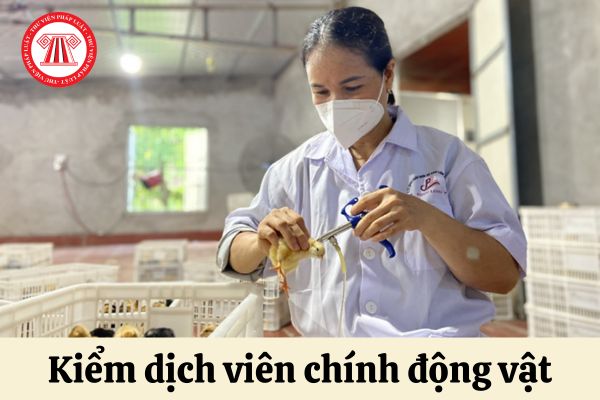 Phải có thời gian giữ ngạch Kiểm dịch viên động vật trong bao lâu mới được thi nâng ngạch lên ngạch Kiểm dịch viên chính động vật?