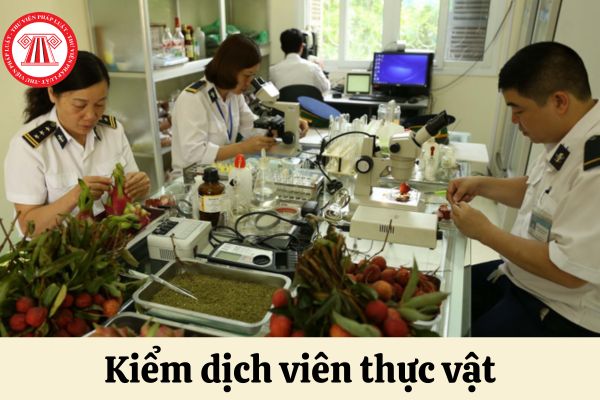 Kiểm dịch viên thực vật