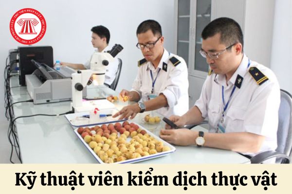 Kỹ thuật viên kiểm dịch thực vật