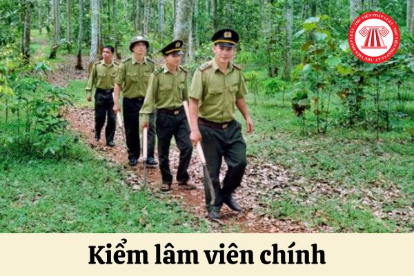 Kiểm lâm viên chính