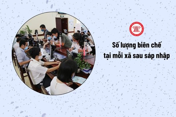 Lao Động Tiền Lương