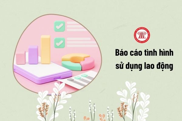 báo cáo tình hình sử dụng lao động