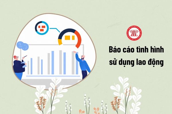 báo cáo tình hình sử dụng lao động