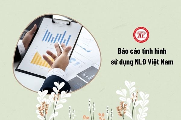 báo cáo tình hình sử dụng người lao động Việt Nam