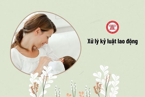 xử lý kỷ luật lao động