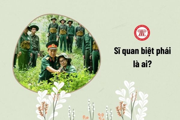 sĩ quan biệt phái là ai?