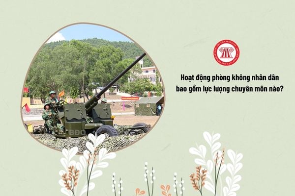 Hoạt động phòng không nhân dân bao gồm lực lượng chuyên môn nào?