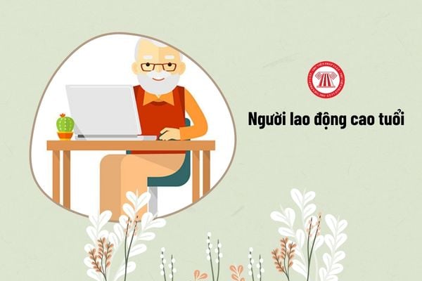 người lao động cao tuổi