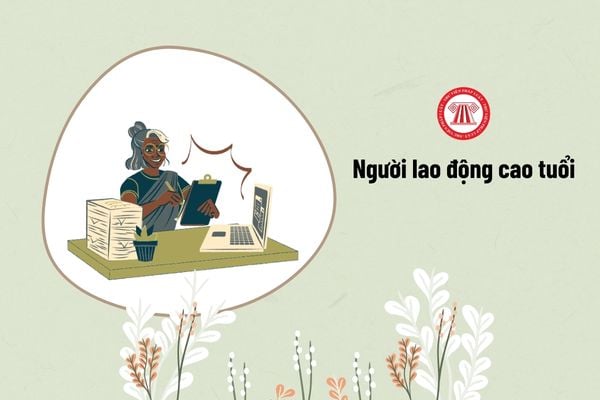 Ai được xem là người lao động cao tuổi?