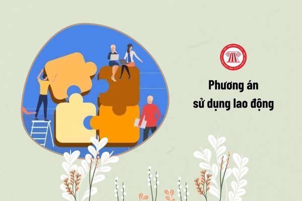 phương án sử dụng lao động