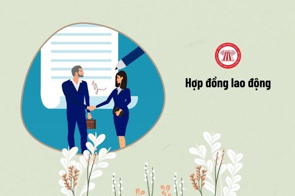 Những loại hợp đồng lao động nào được pháp luật Việt Nam công nhận?