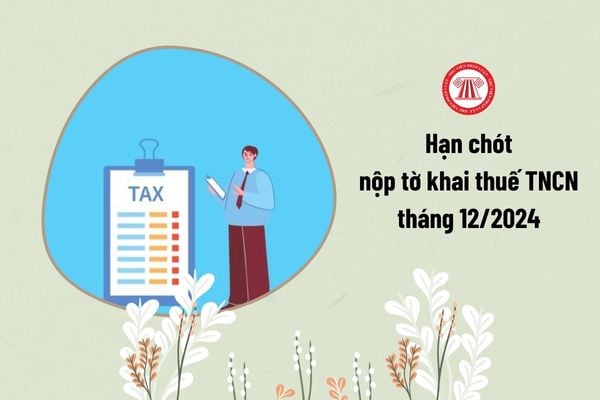 Hạn chót nộp tờ khai thuế TNCN tháng 12/2024