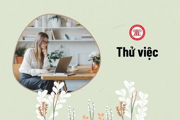 Hợp đồng lao động chính thức có cần ký ngay sau khi kết thúc thời gian thử việc không?