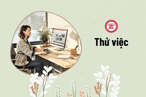 Trường hợp nào không áp dụng thử việc mà ký hợp đồng chính thức ngay từ đầu?