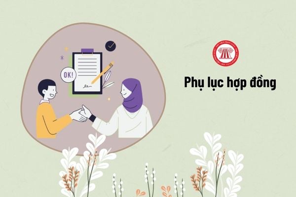 Có thể dùng phụ lục hợp đồng lao động để điều chỉnh hoặc bổ sung những nội dung nào?