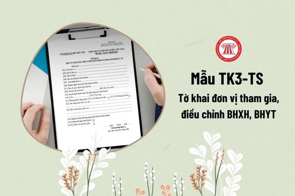 Mẫu TK3-TS Tờ khai đơn vị tham gia, điều chỉnh bảo hiểm xã hội, bảo hiểm y tế