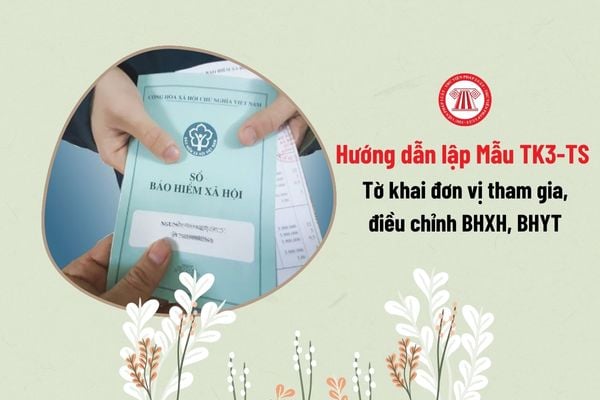 Hướng dẫn điền Mẫu TK3-TS