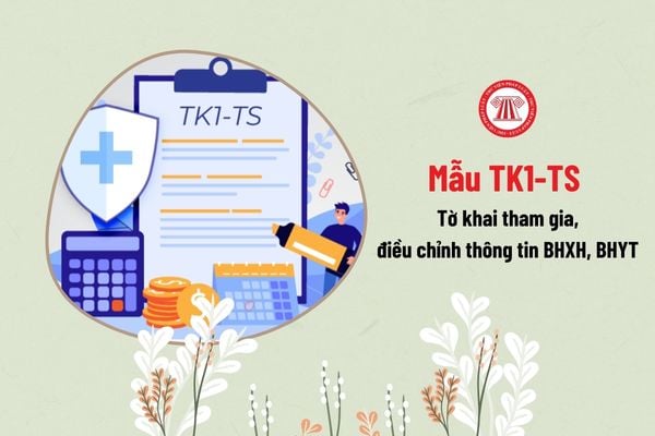 Mẫu TK1-TS