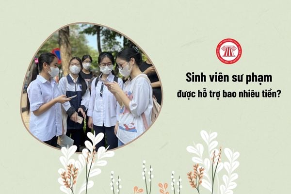 Sinh viên sư phạm được hỗ trợ bao nhiêu tiền?