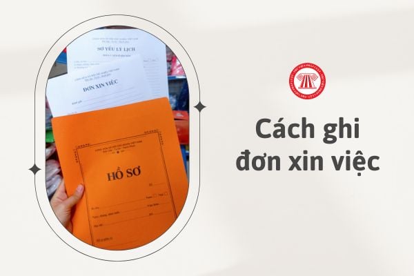 Cách ghi đơn xin việc