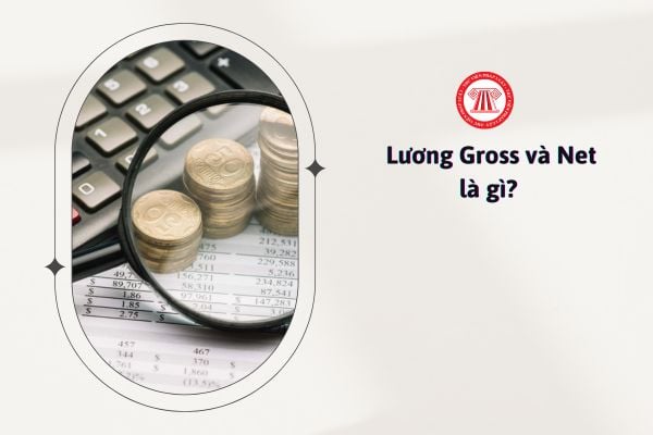 Lương Gross và Net là gì? 