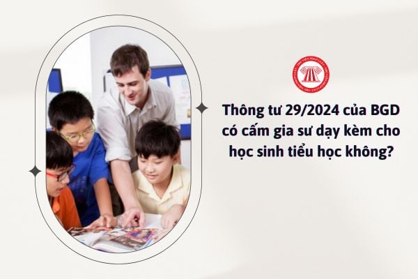 Thông tư 29 2024 của Bộ Giáo dục có cấm gia sư dạy kèm cho học sinh tiểu học không?