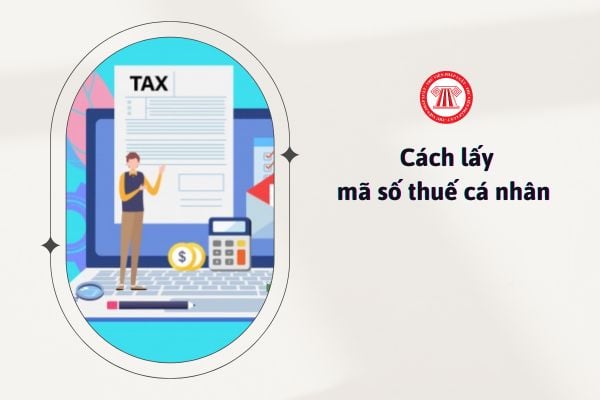 Cách lấy mã số thuế cá nhân? 