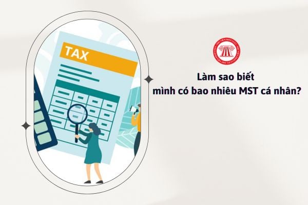 Làm sao để biết mình có bao nhiêu mã số thuế cá nhân?