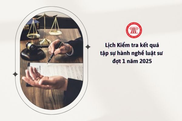 Lịch Kiểm tra kết quả tập sự hành nghề luật sư đợt 1 năm 2025