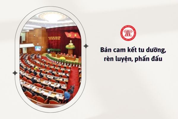 Bản cam kết tu dưỡng rèn luyện phấn đấu năm 2025