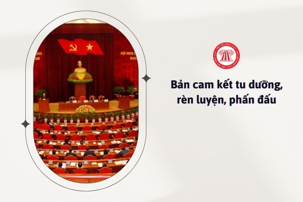 Nội dung Bản cam kết tu dưỡng rèn luyện phấn đấu năm 2025 gồm những gì?