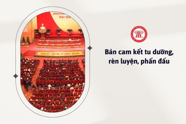 Có bắt buộc phải viết Bản cam kết tu dưỡng rèn luyện phấn đấu không?