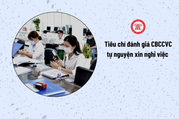 Lao Động Tiền Lương
