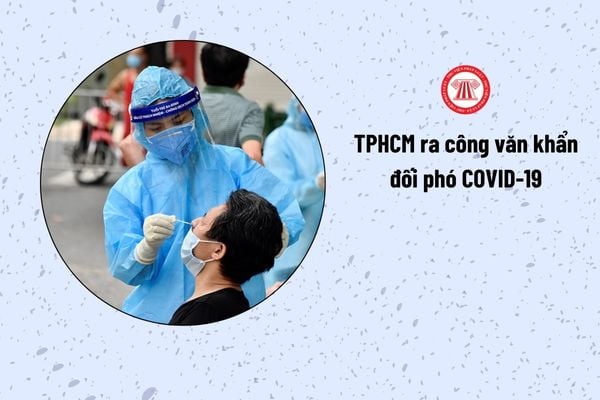 Lao Động Tiền Lương